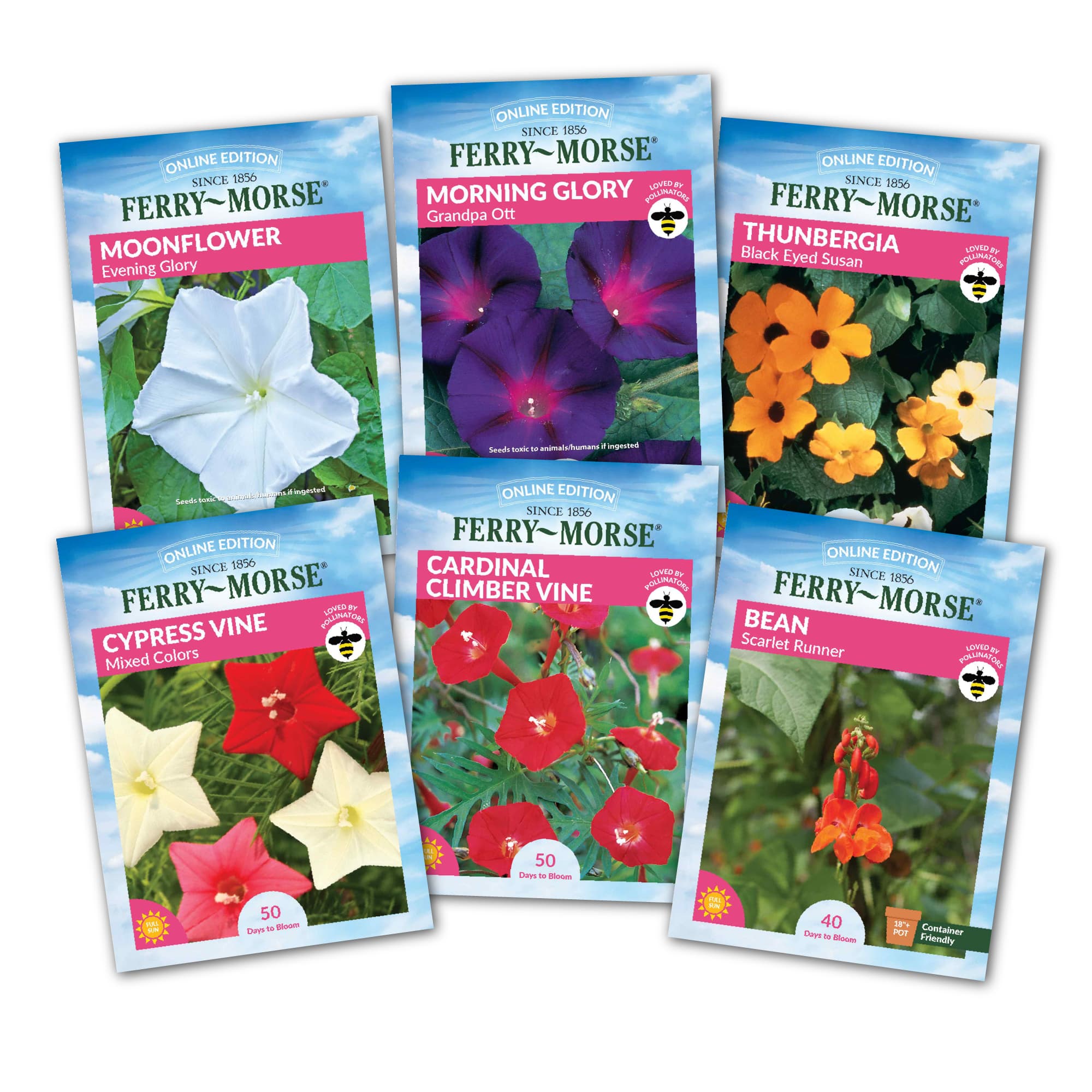A variety of seed packets from Ferry-Morse including different climbing vine flower seeds.